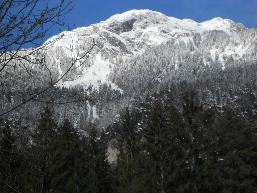 Appartementhaus Scheiflinger Hermagor Exterior foto